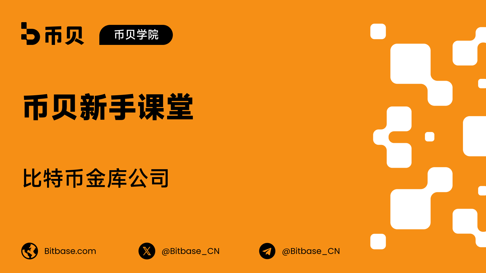 比特币金库公司:撑起它们的那份溢价