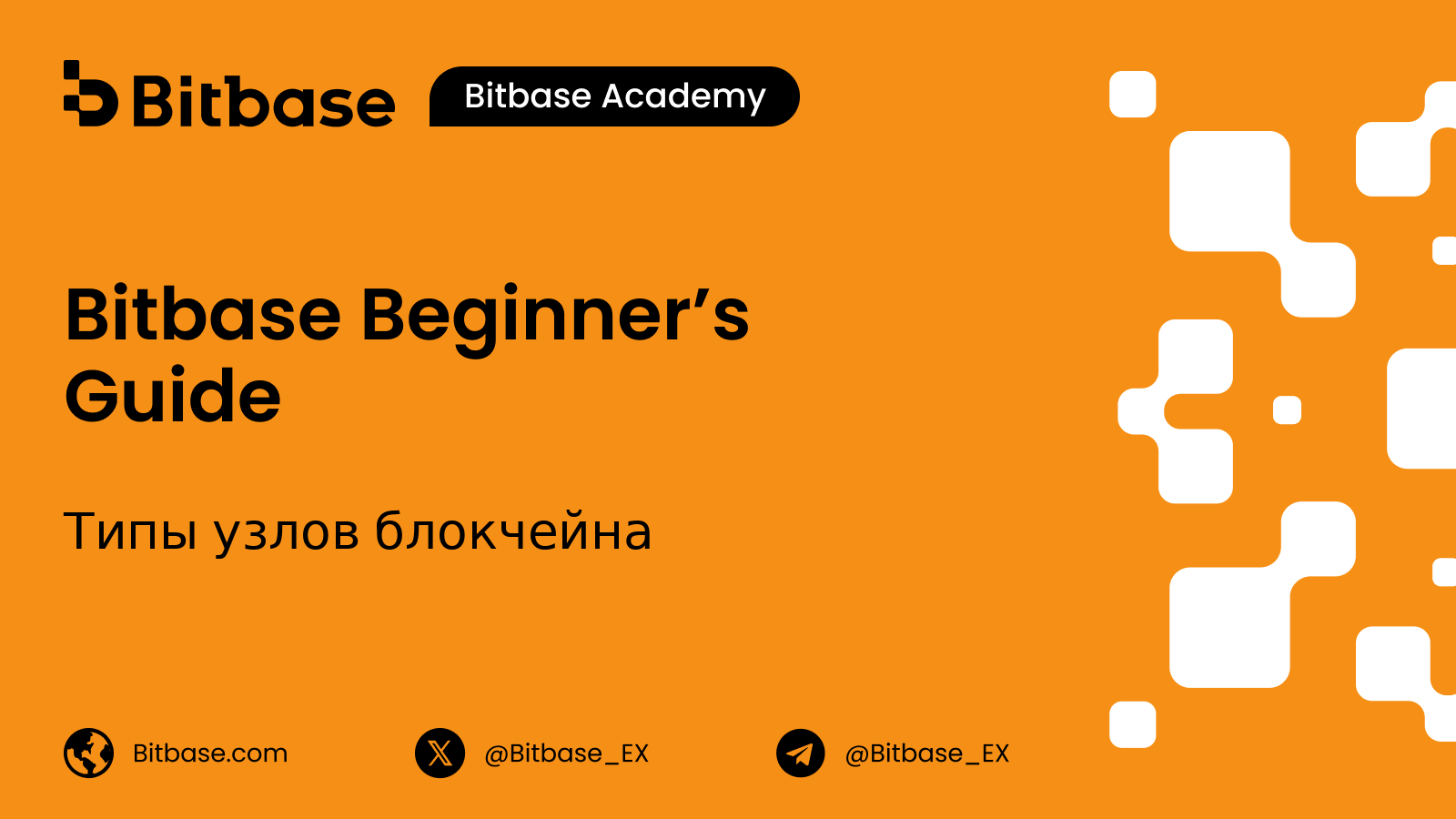 Типы узлов блокчейна