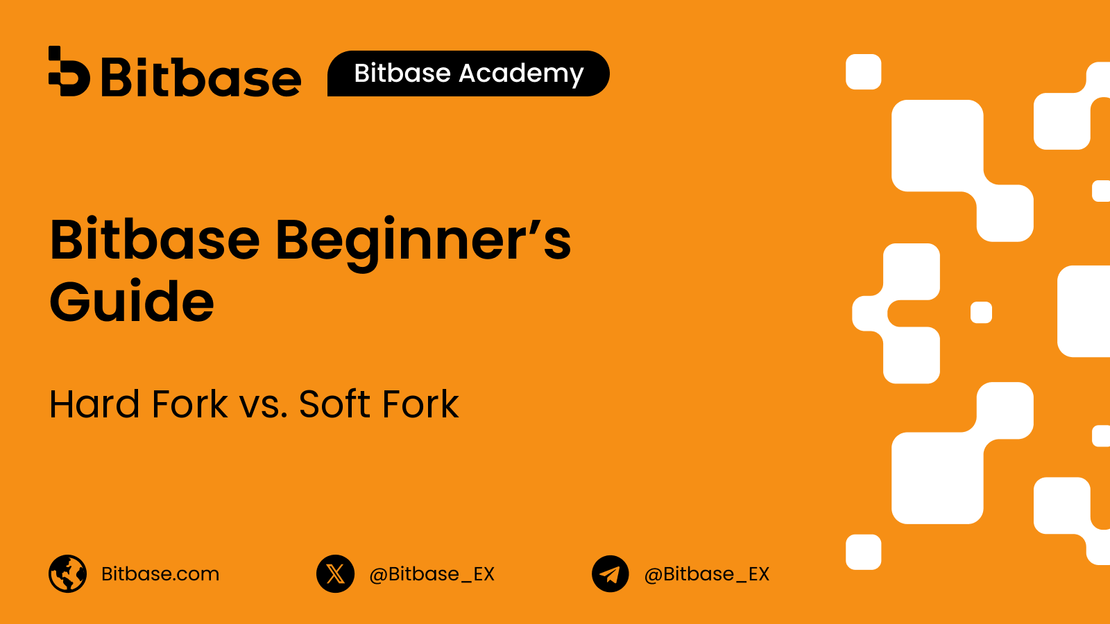 Hard Fork vs. Soft Fork: Was ist der Unterschied