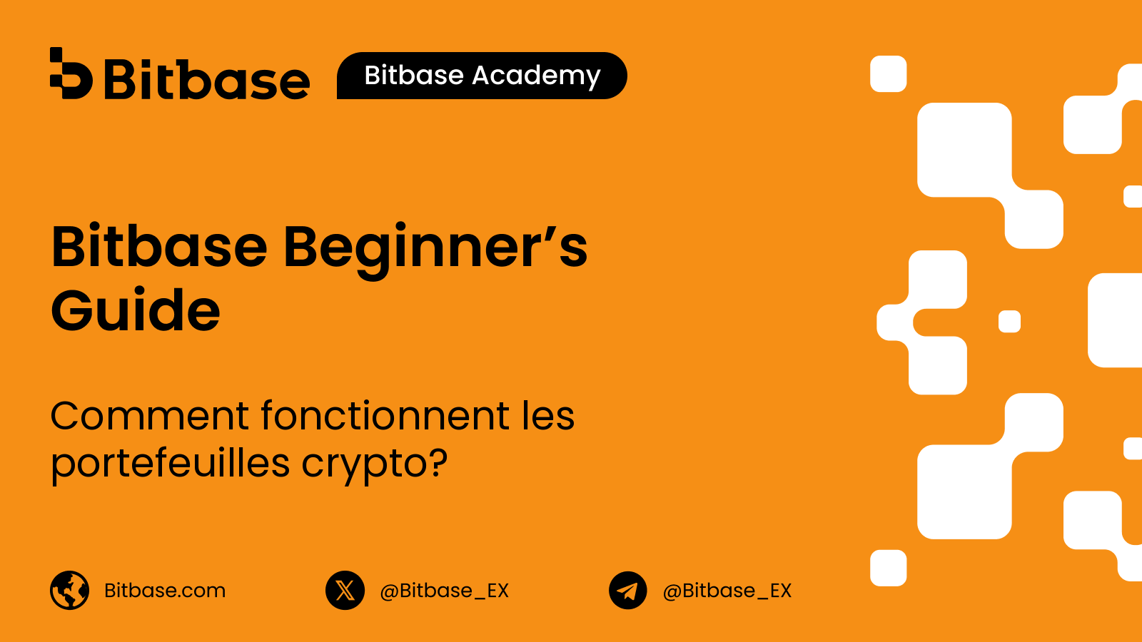 Comment fonctionnent les portefeuilles crypto ?