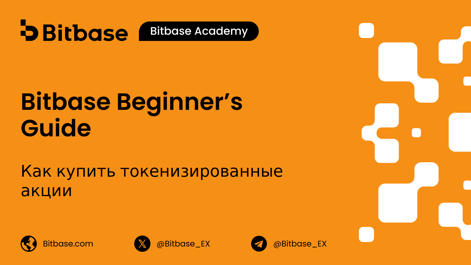 Как купить токенизированные акции: доступ, комиссии и что вам принадлежит