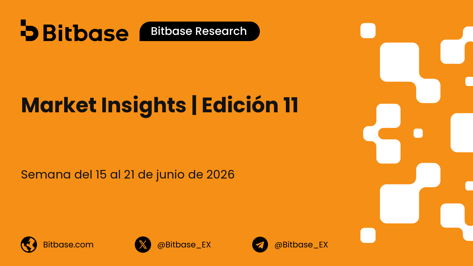 Market Insights | Edición 11
