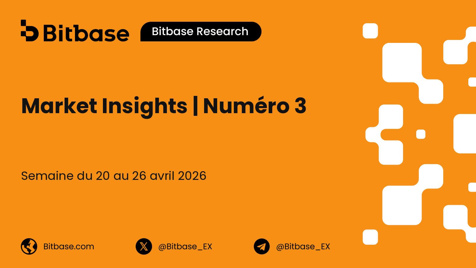 Market Insights | Numéro 3