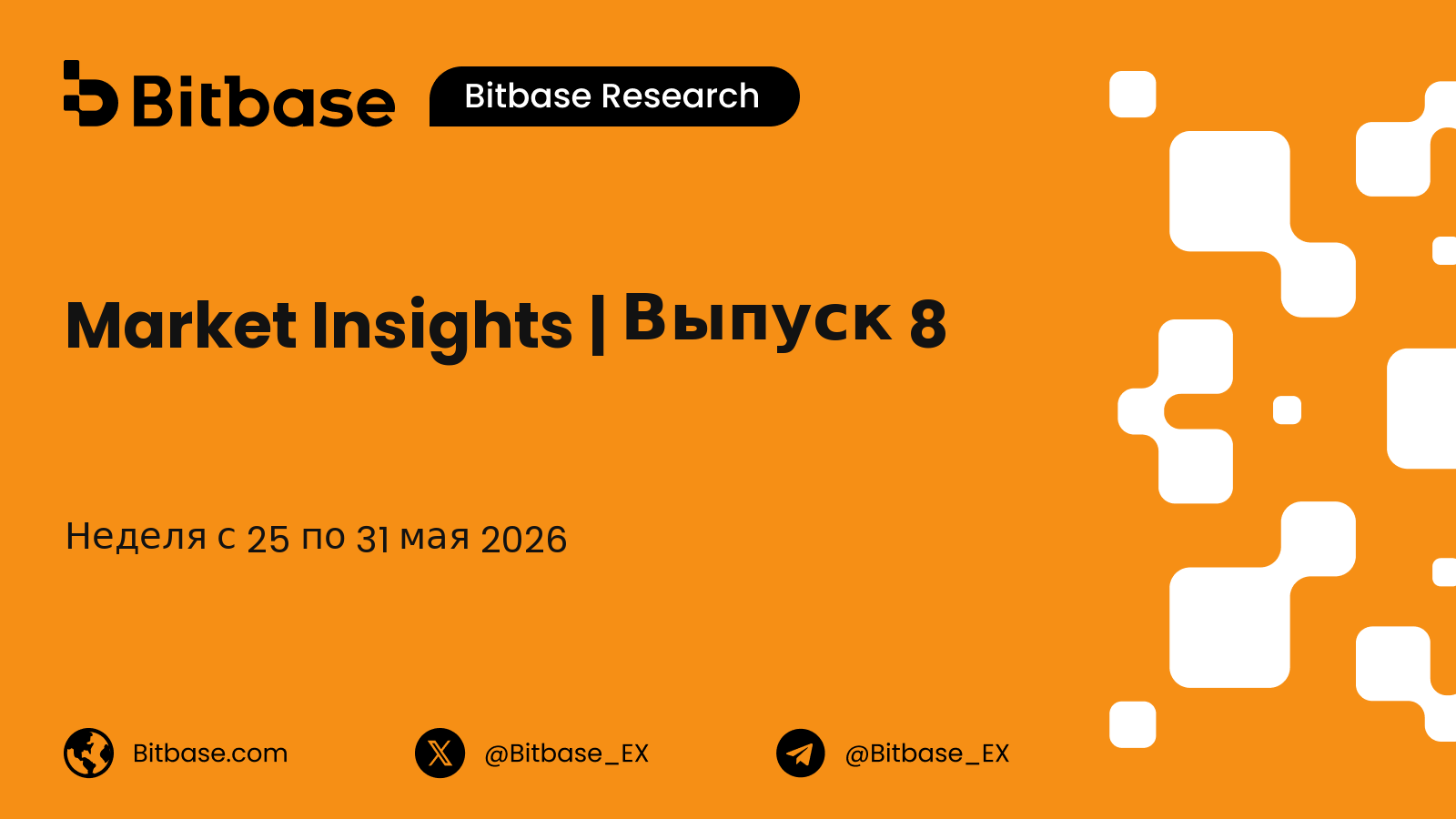 Market Insights | Выпуск 8