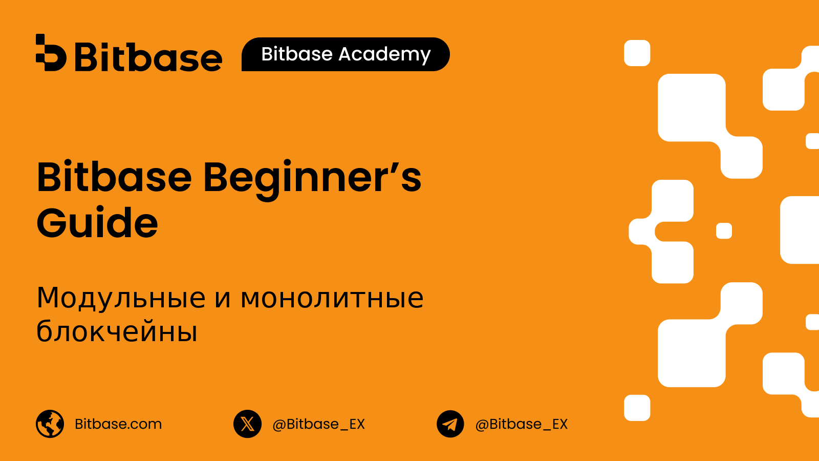 Модульные и монолитные блокчейны
