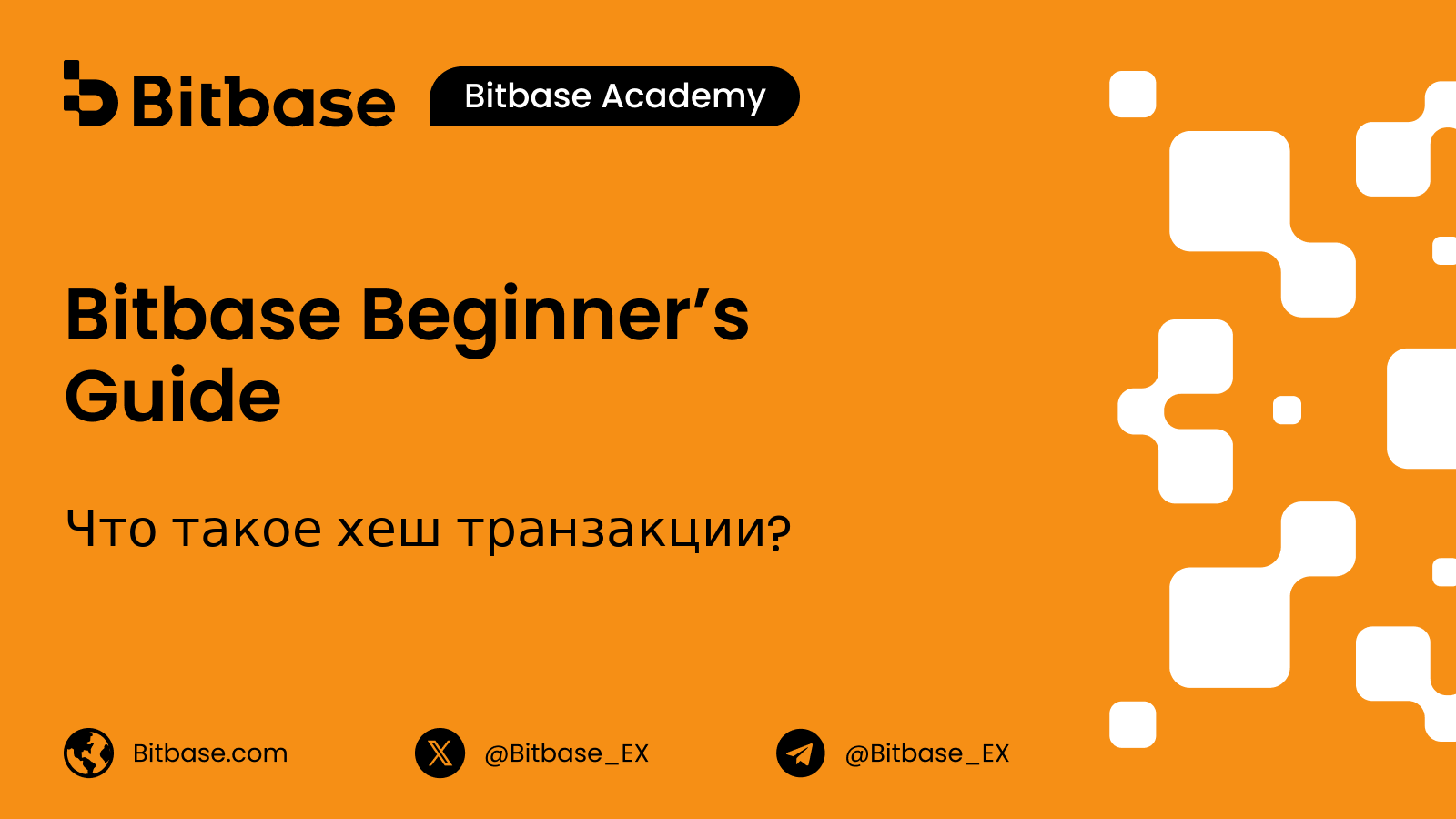 Что такое хеш транзакции (TXID)?