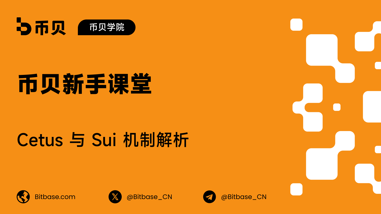 Cetus 与 Sui 机制解析